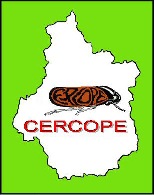 CERCOPE